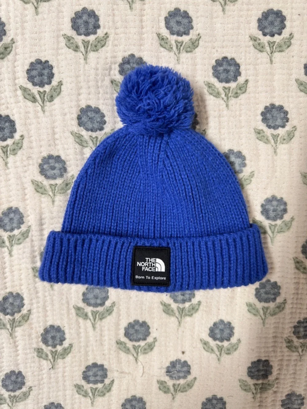 The North Face Blue Beanie